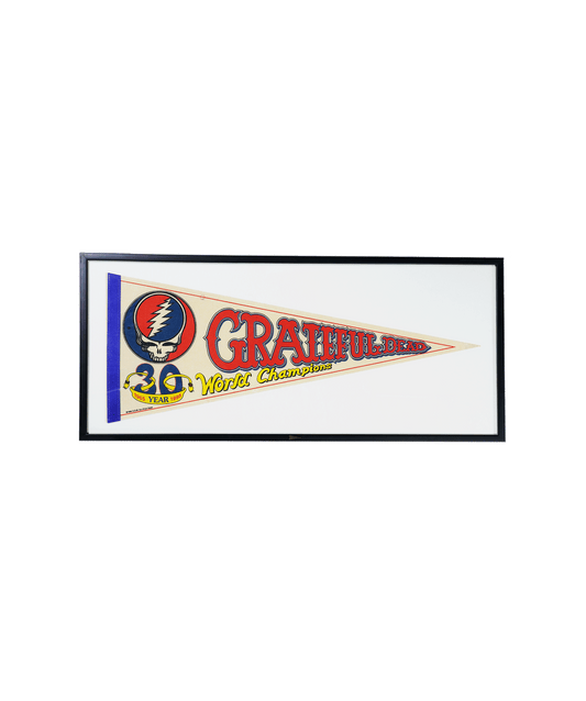 Vintage Grateful Dead- Framed