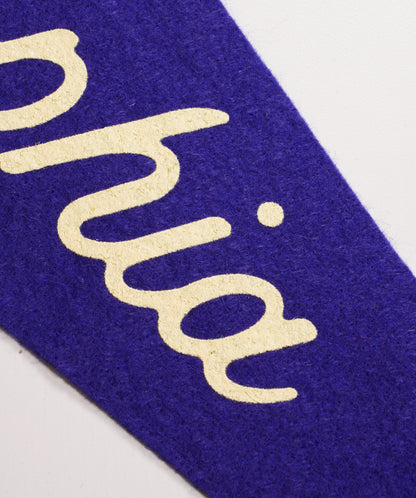 Philadelphia Pennant • United By Blue x True Hand Society x Oxford Pennant Original