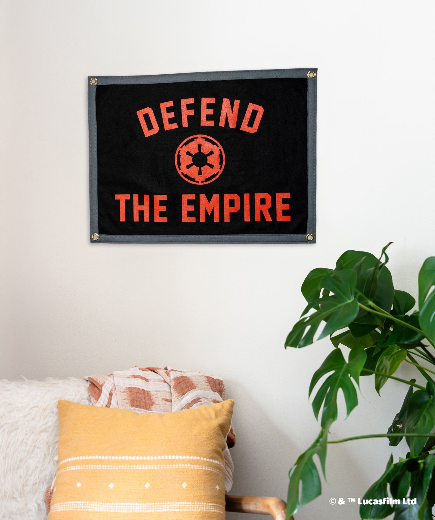 STAR WARS™ Defend The Empire Camp Flag