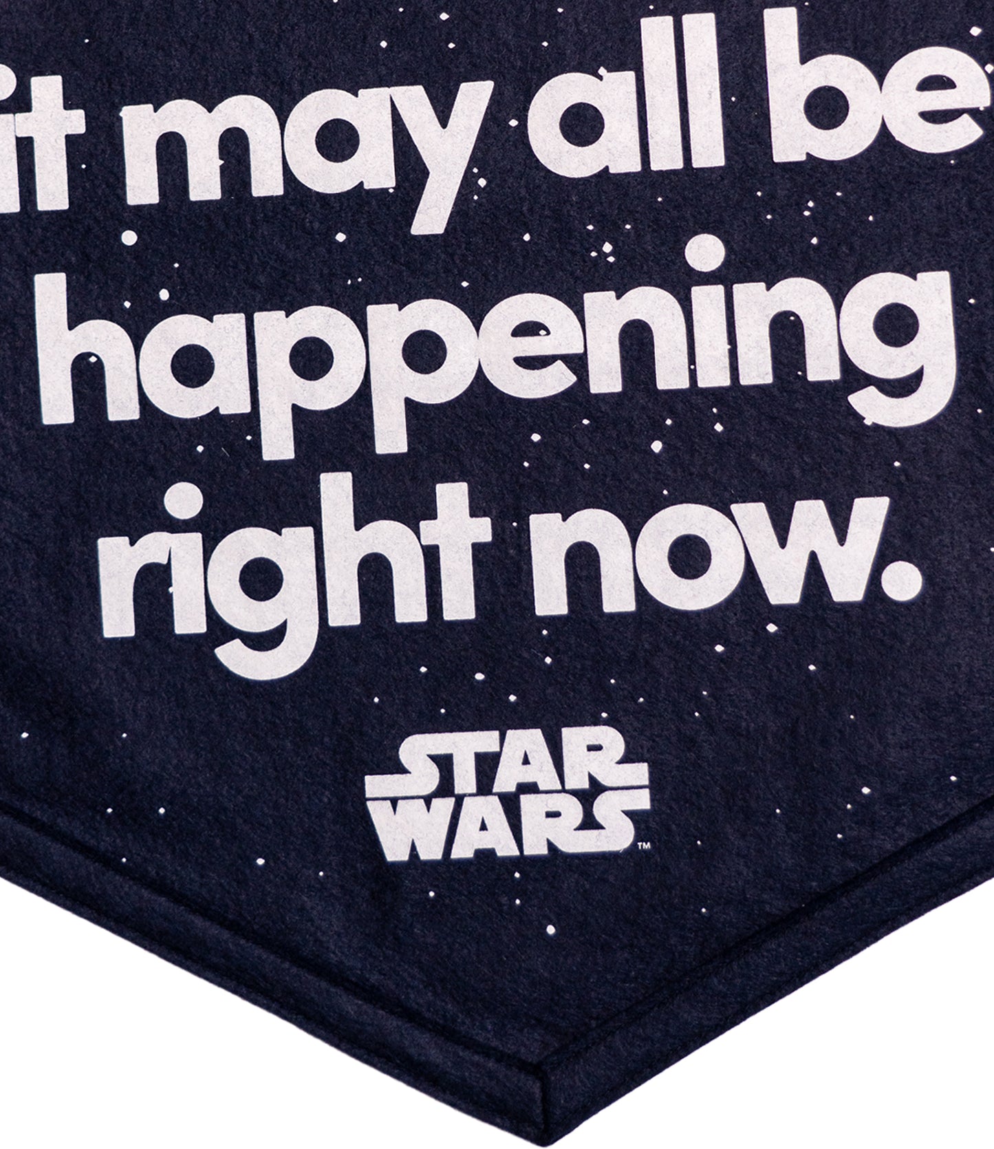 STAR WARS™ Somewhere Out There Camp Flag