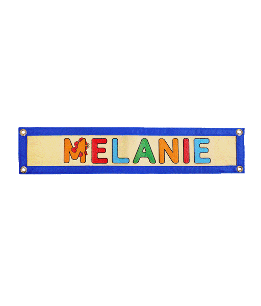 Personalized Elmo Name Camp Flag • Sesame Street x Oxford Pennant