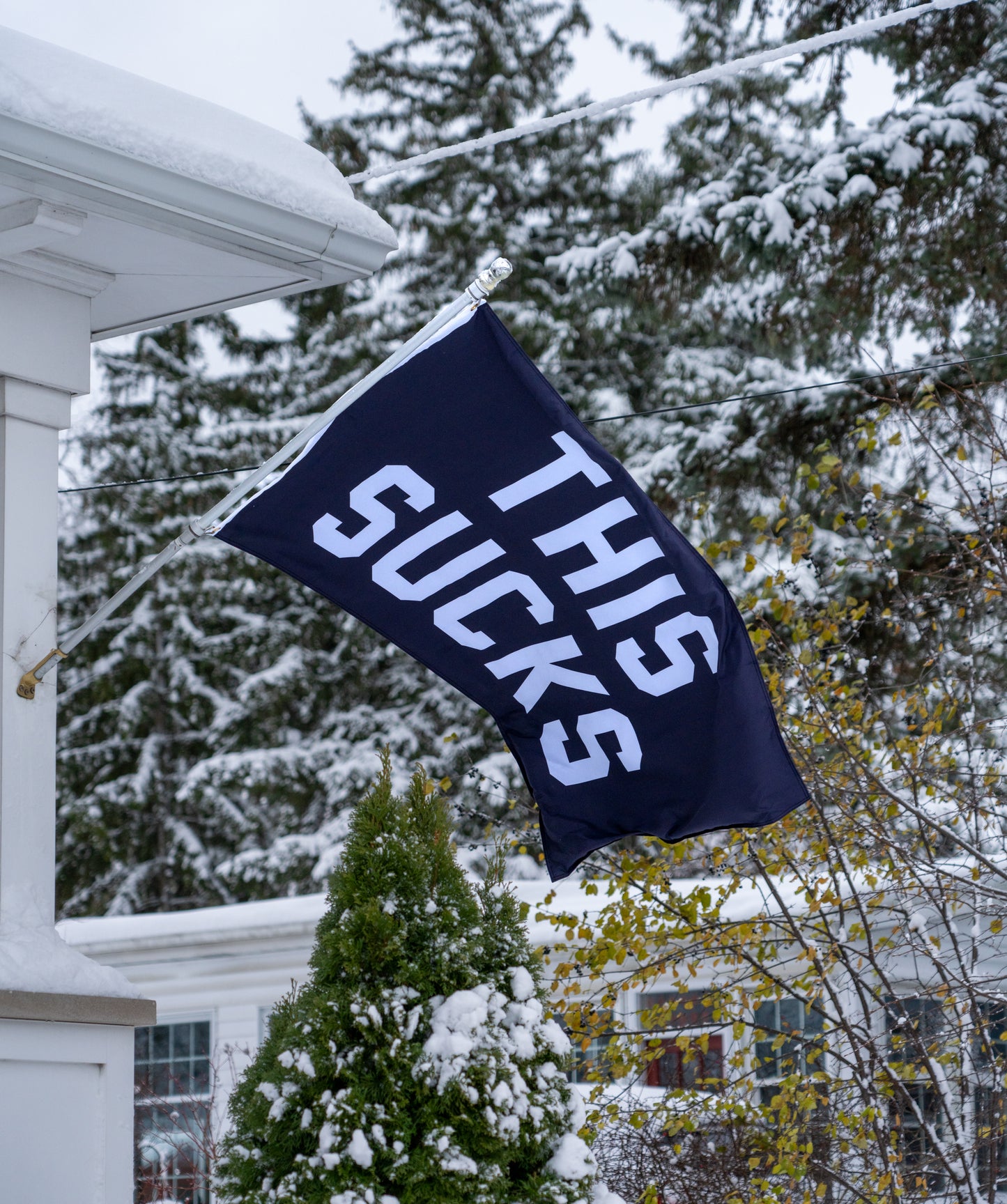 This Sucks Outdoor Flag