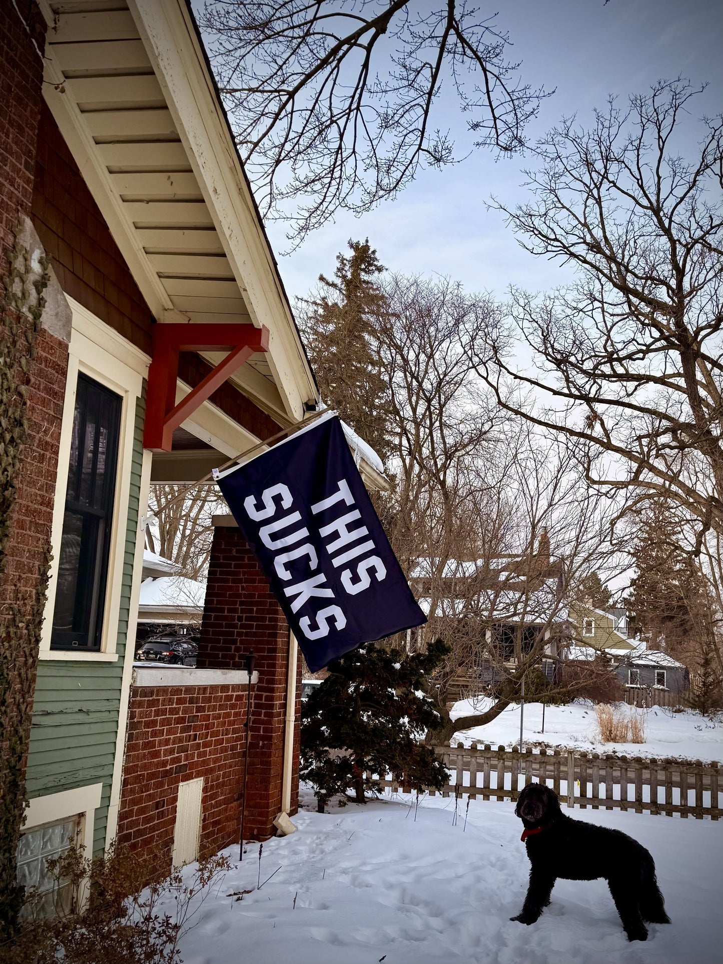 This Sucks Outdoor Flag