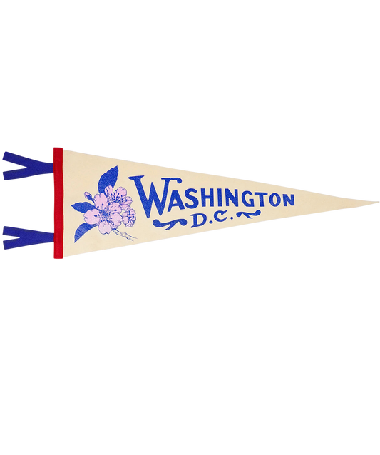 Washington D.C. Pennant