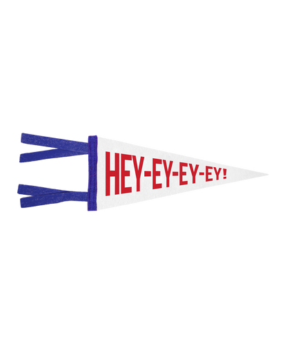 Buffalo Mini Pennants