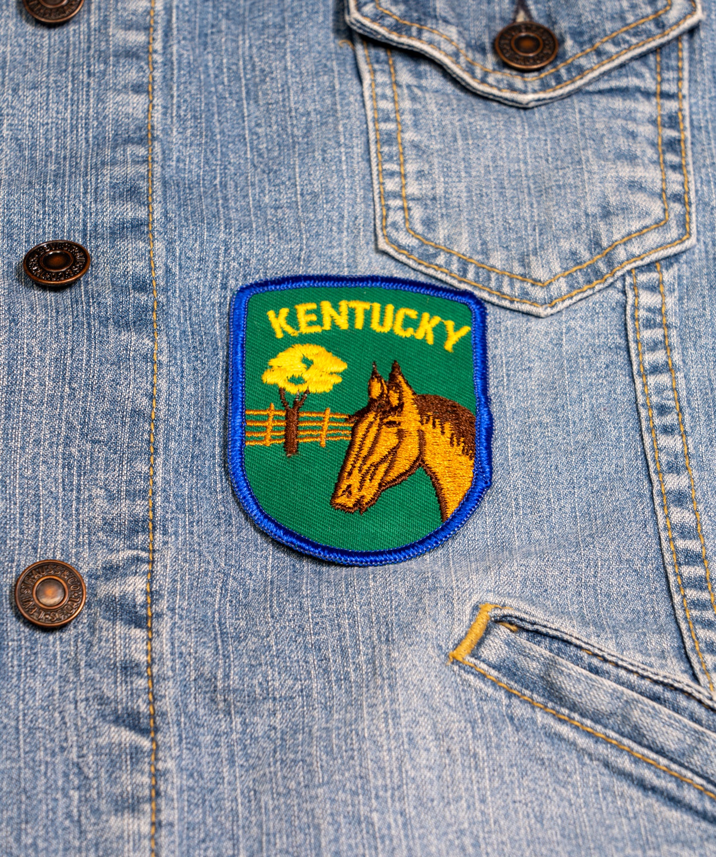 Vintage Kentucky Embroidered Patch
