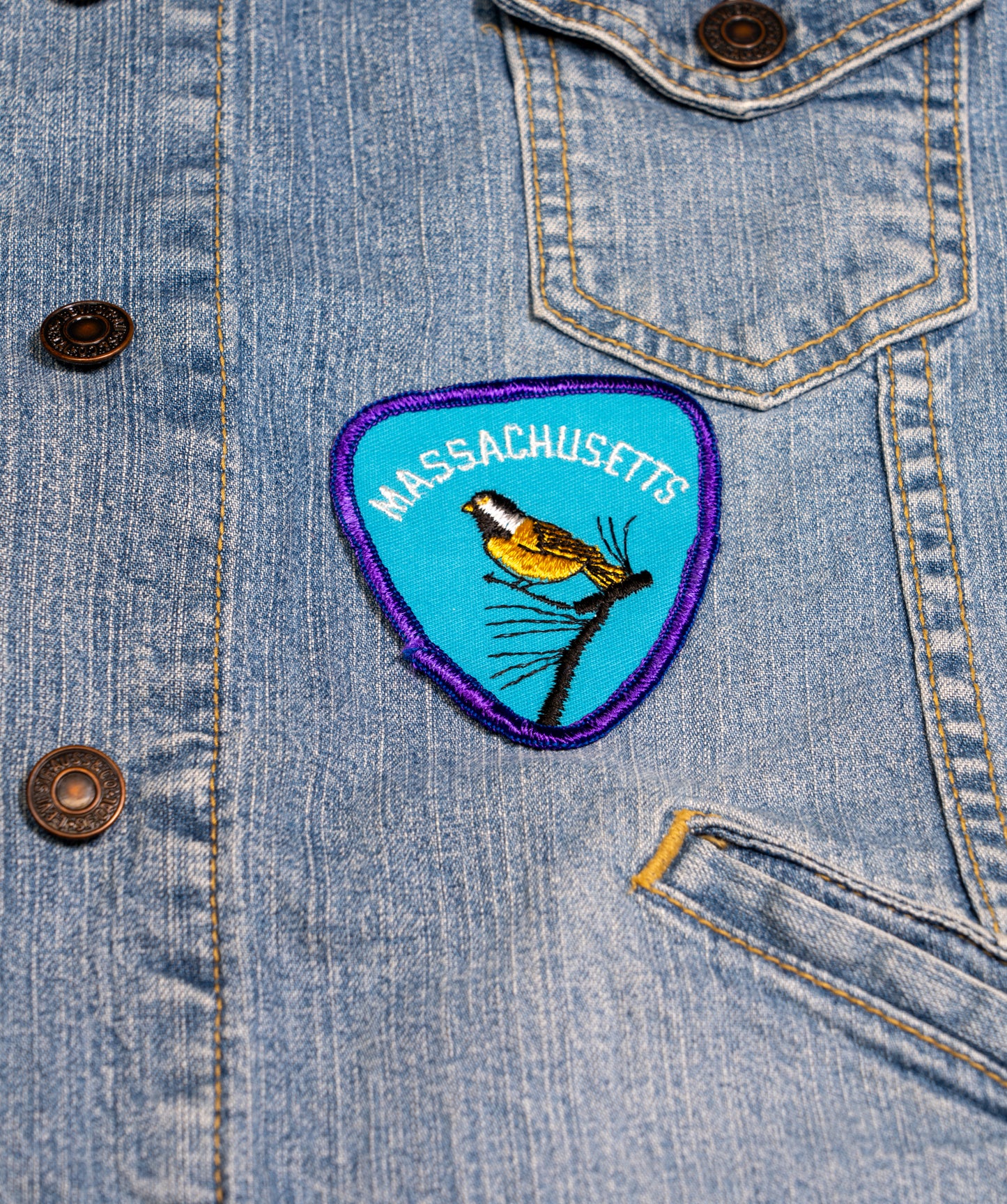 Vintage Massachusetts Embroidered Patch