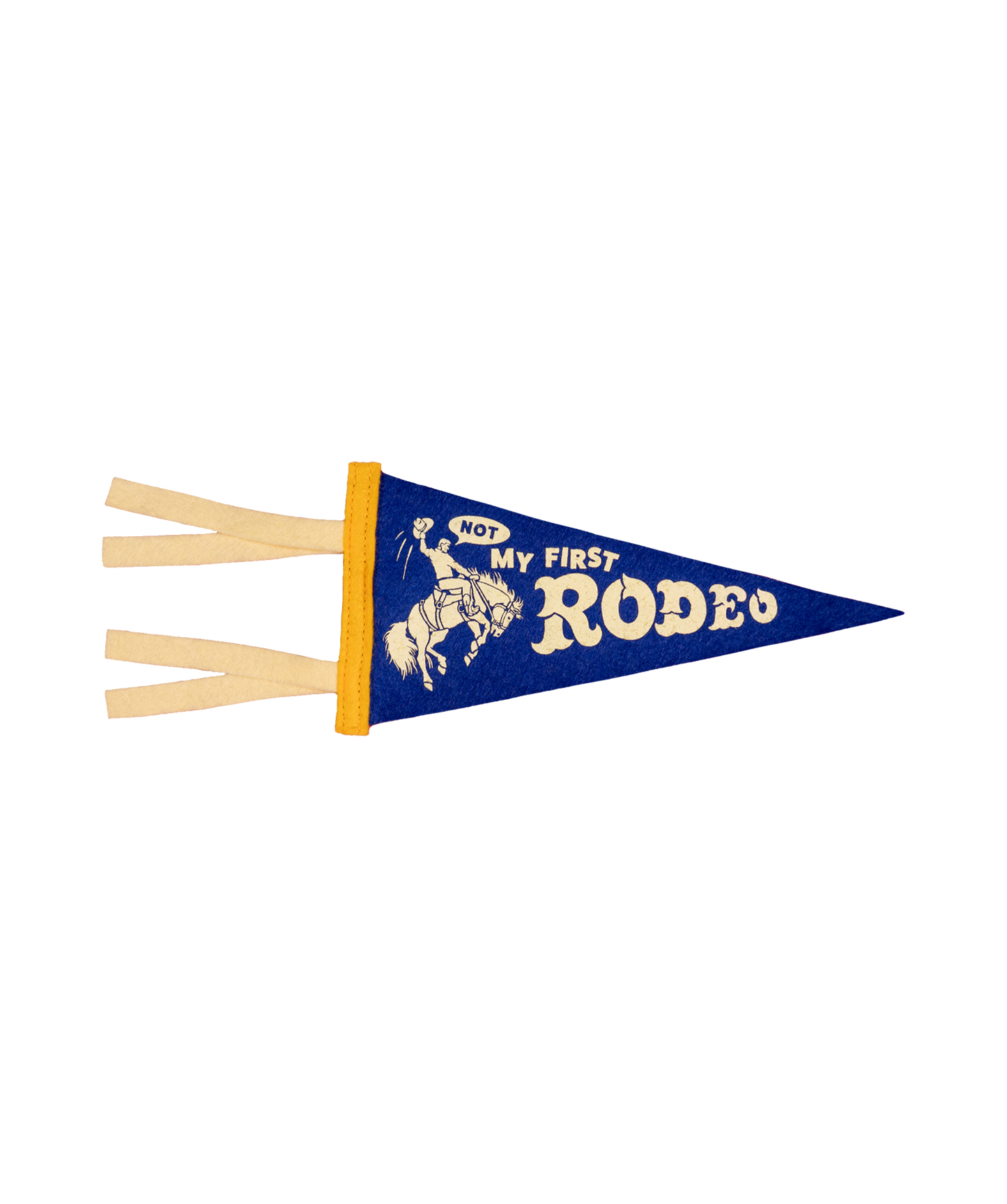 Not My First Rodeo Mini Pennant