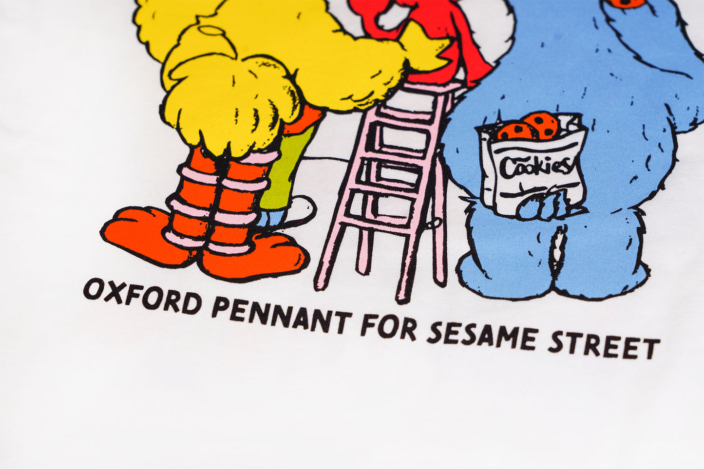 Celebrate Everything Adult Tee • Sesame Street x Oxford Pennant