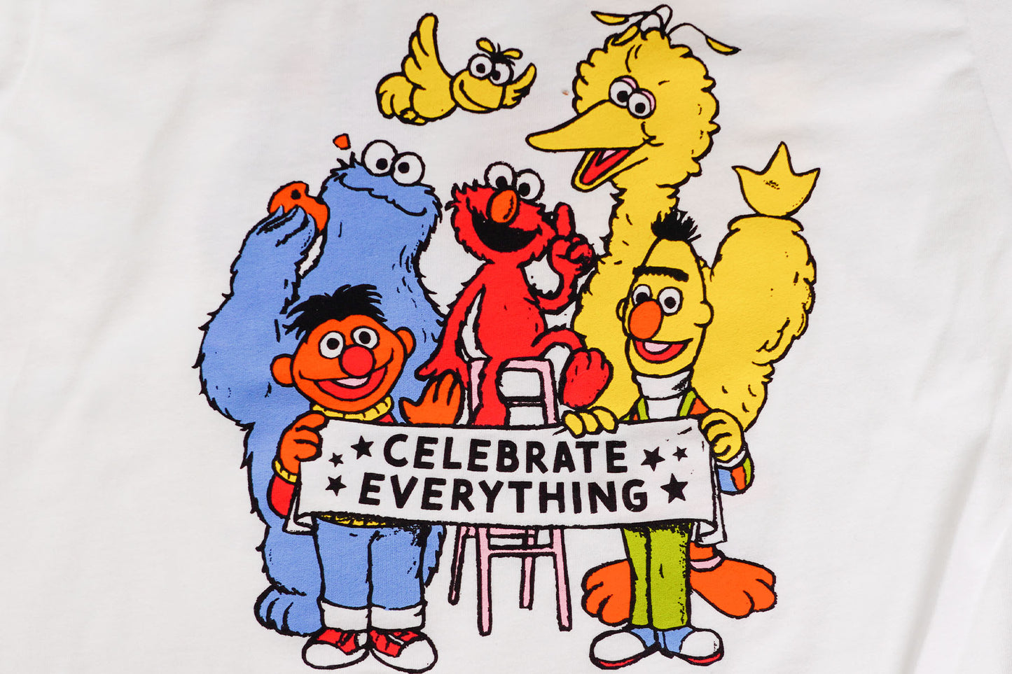 Celebrate Everything Kids Tee • Sesame Street x Oxford Pennant