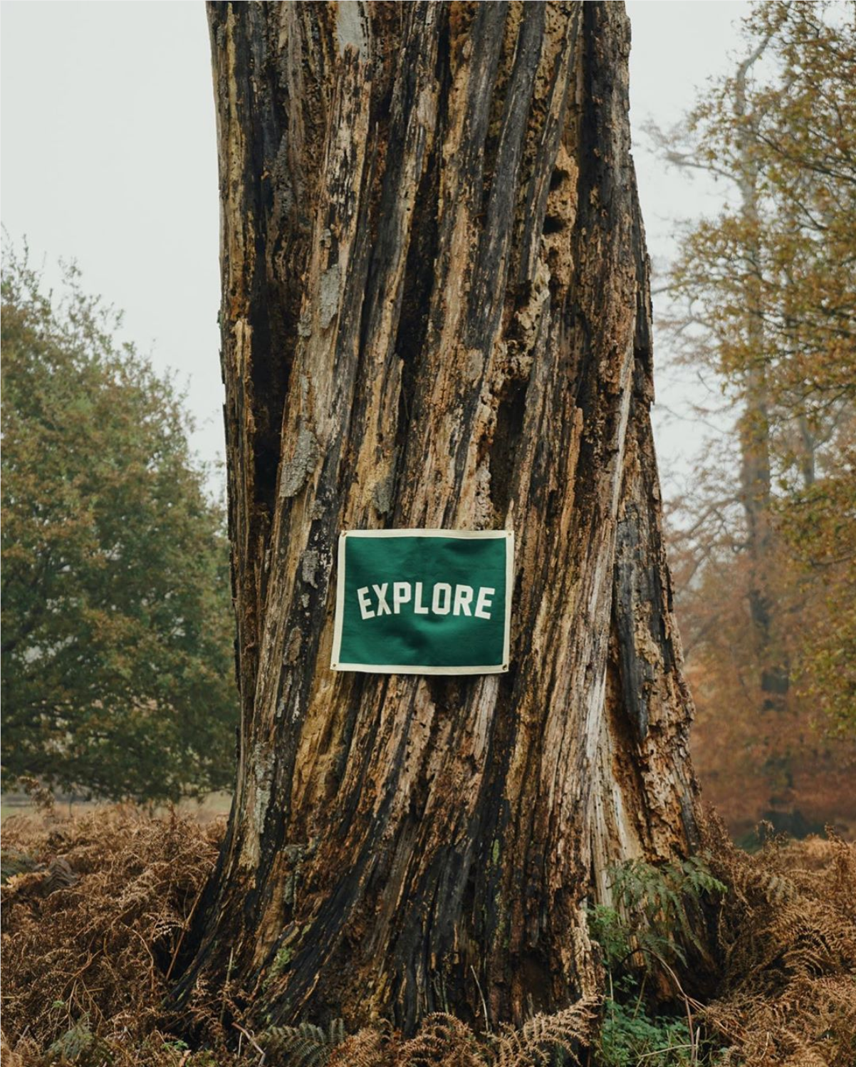 Explore Camp Flag | Oxford Pennant Explore Camp Flag | Oxford Pennant