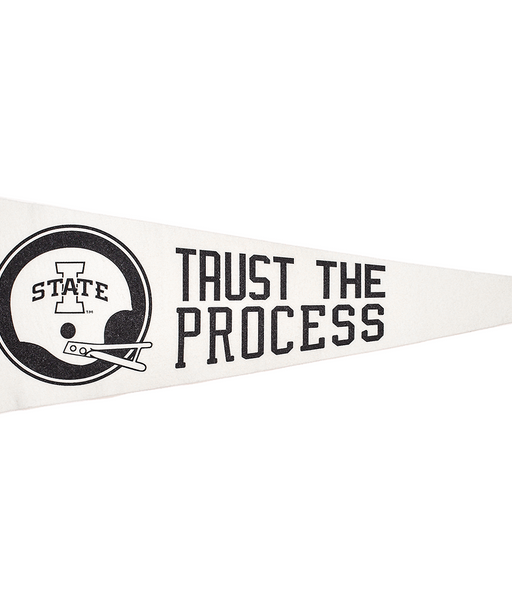 Trust The Process White Pennant